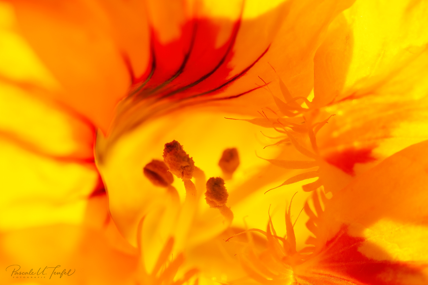 Ein paar Männecken ...