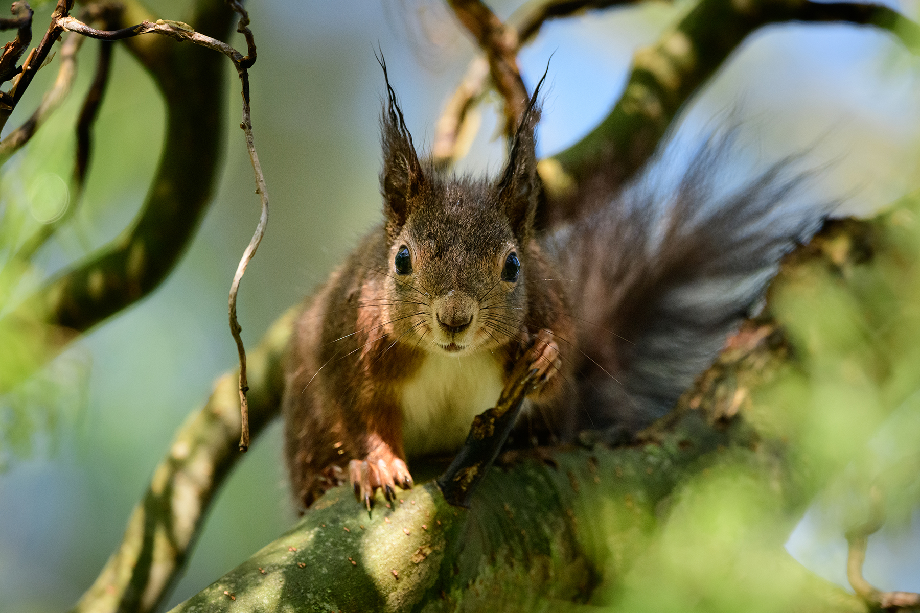 War gerade beim Friseur...