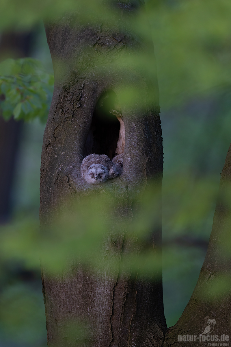 Einfach mal abhängen...