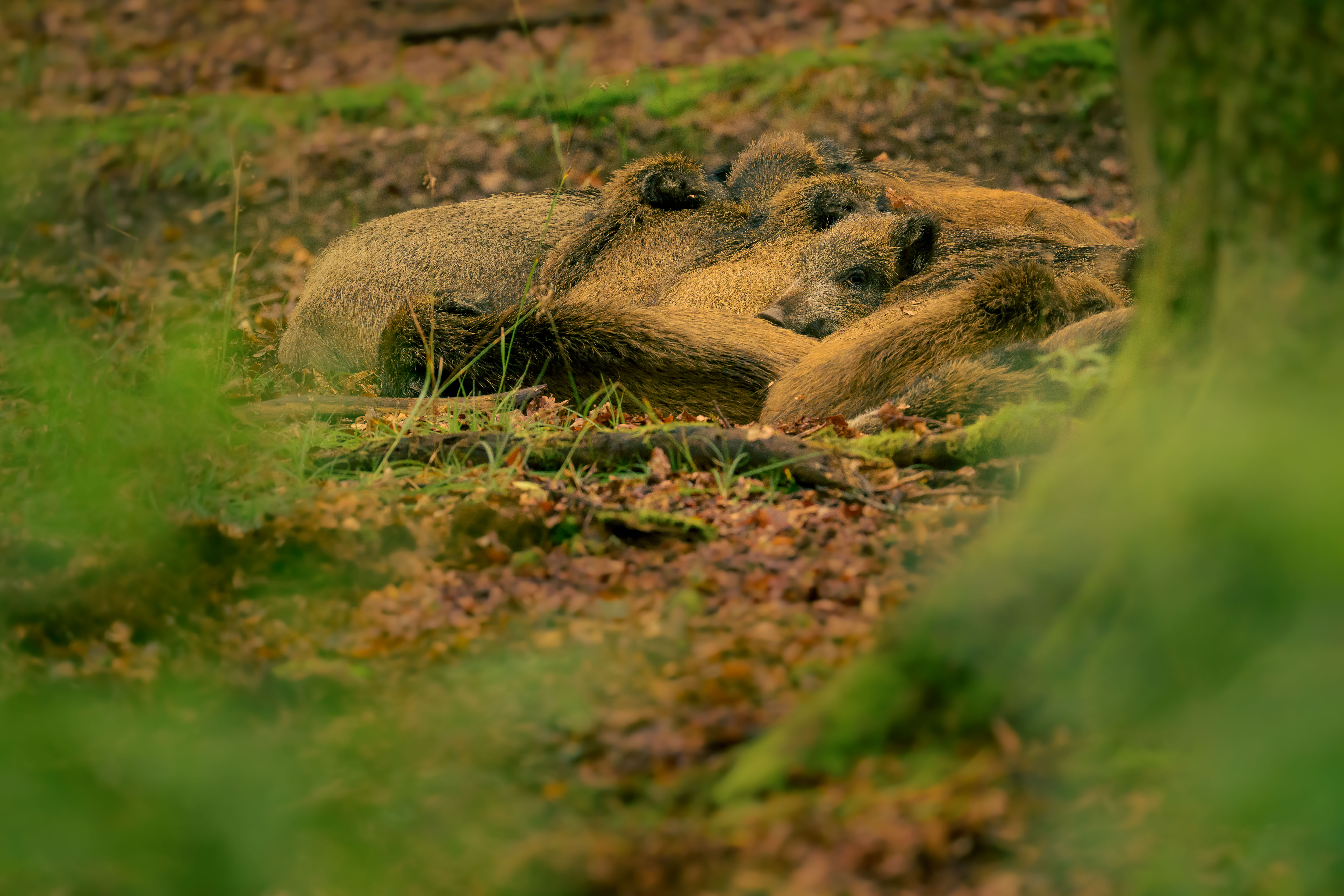 Zusammen ist man weniger allein!