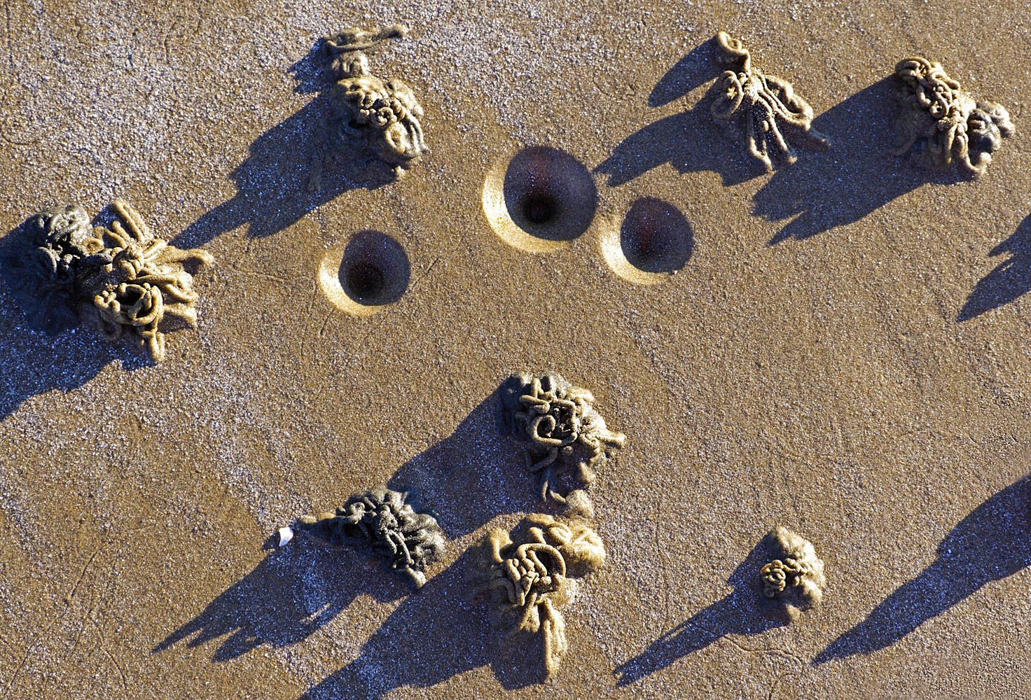 Löcher und Häufchen :-)