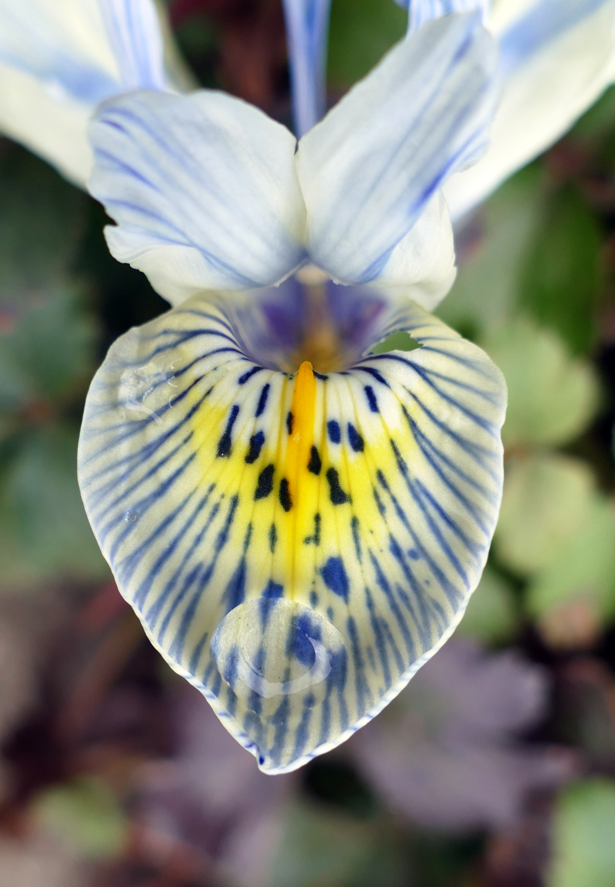 ... der erste Farbklecks ...