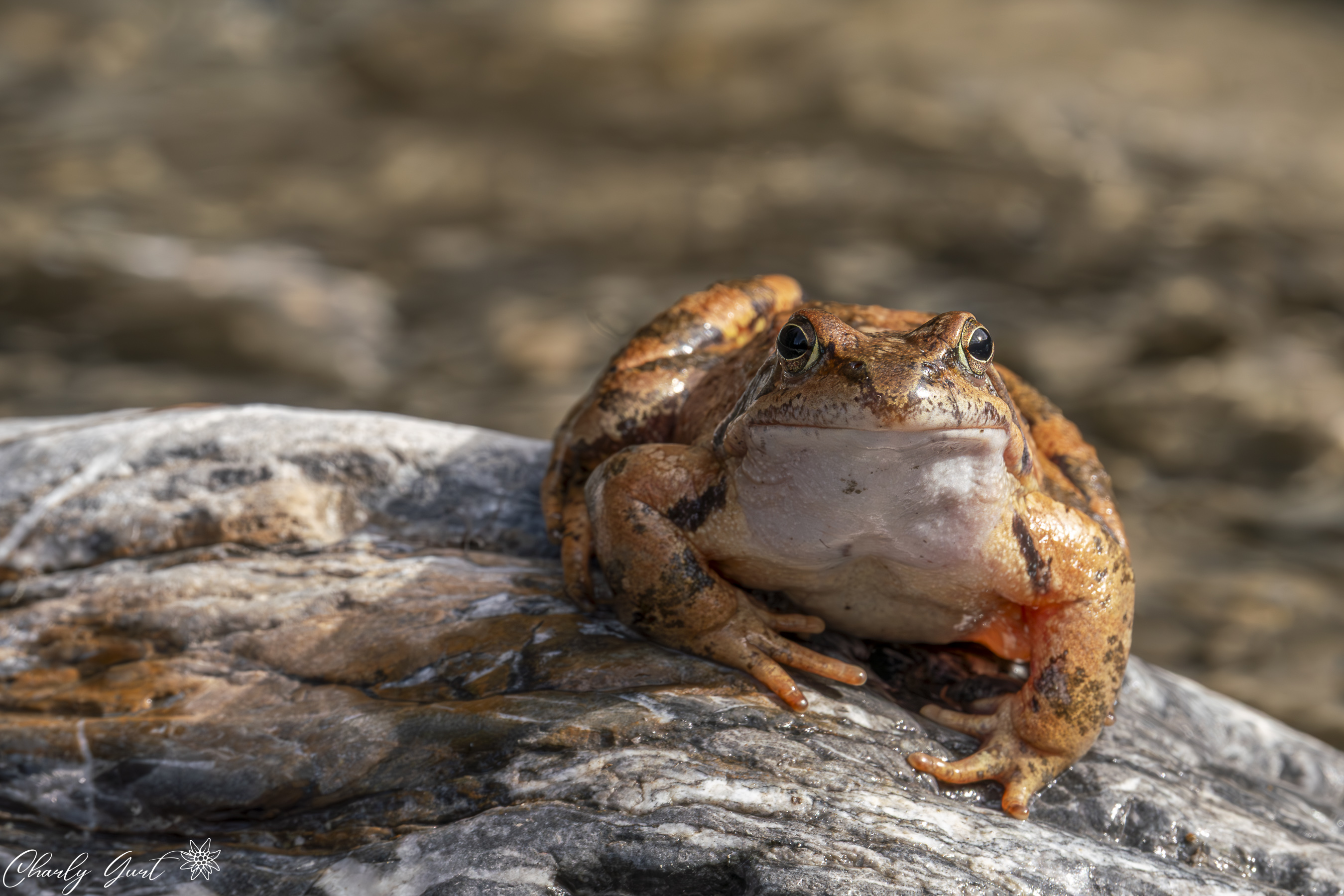 Ein Platz an der Sonne
