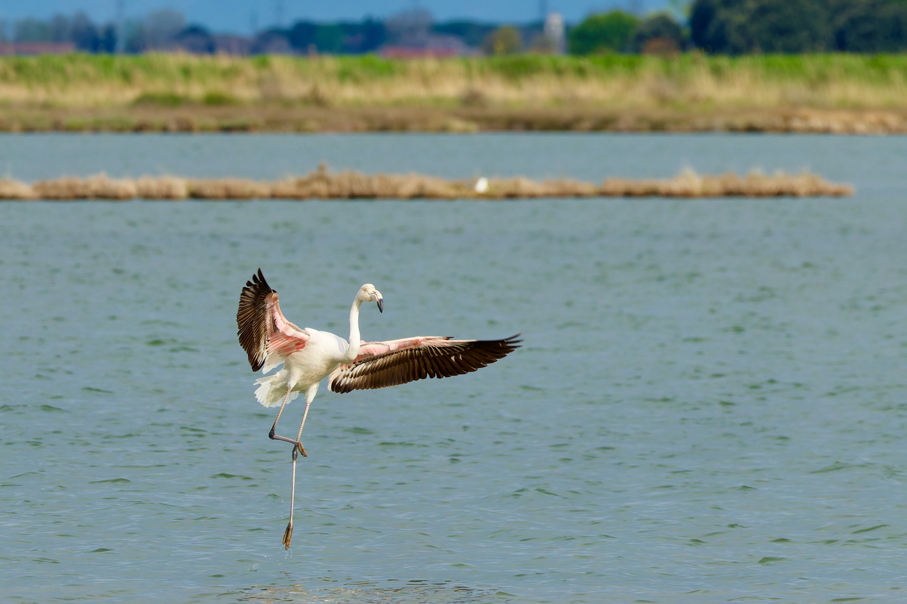 Ein zu kaltes Wasser ?