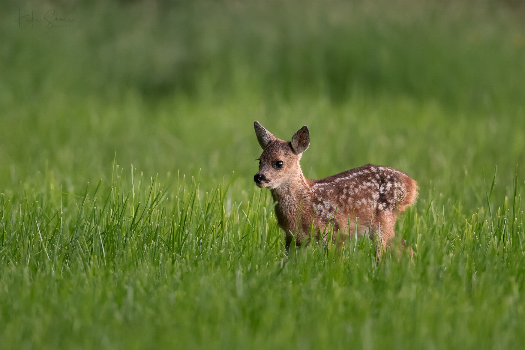 Momente, die bleiben...