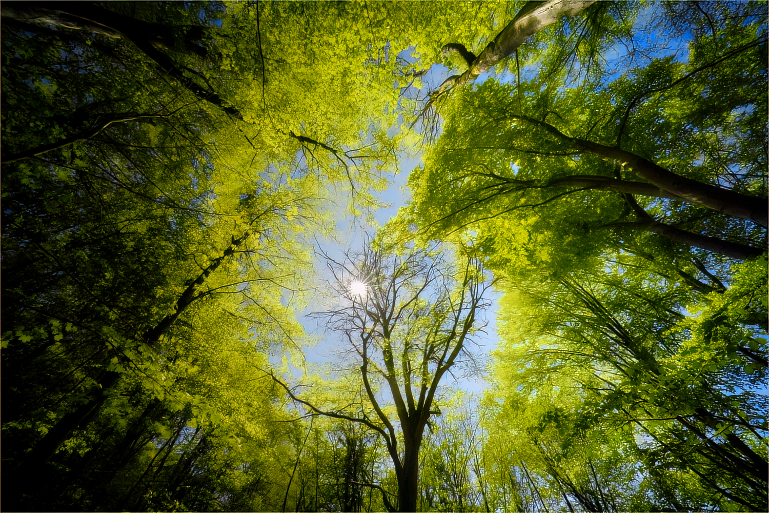 Der Spätzünder ...