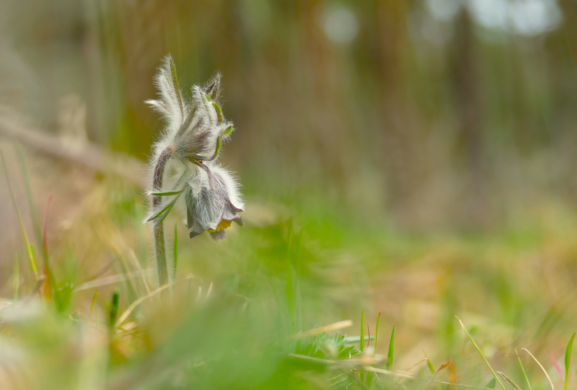 Auch schon wieder vorbei