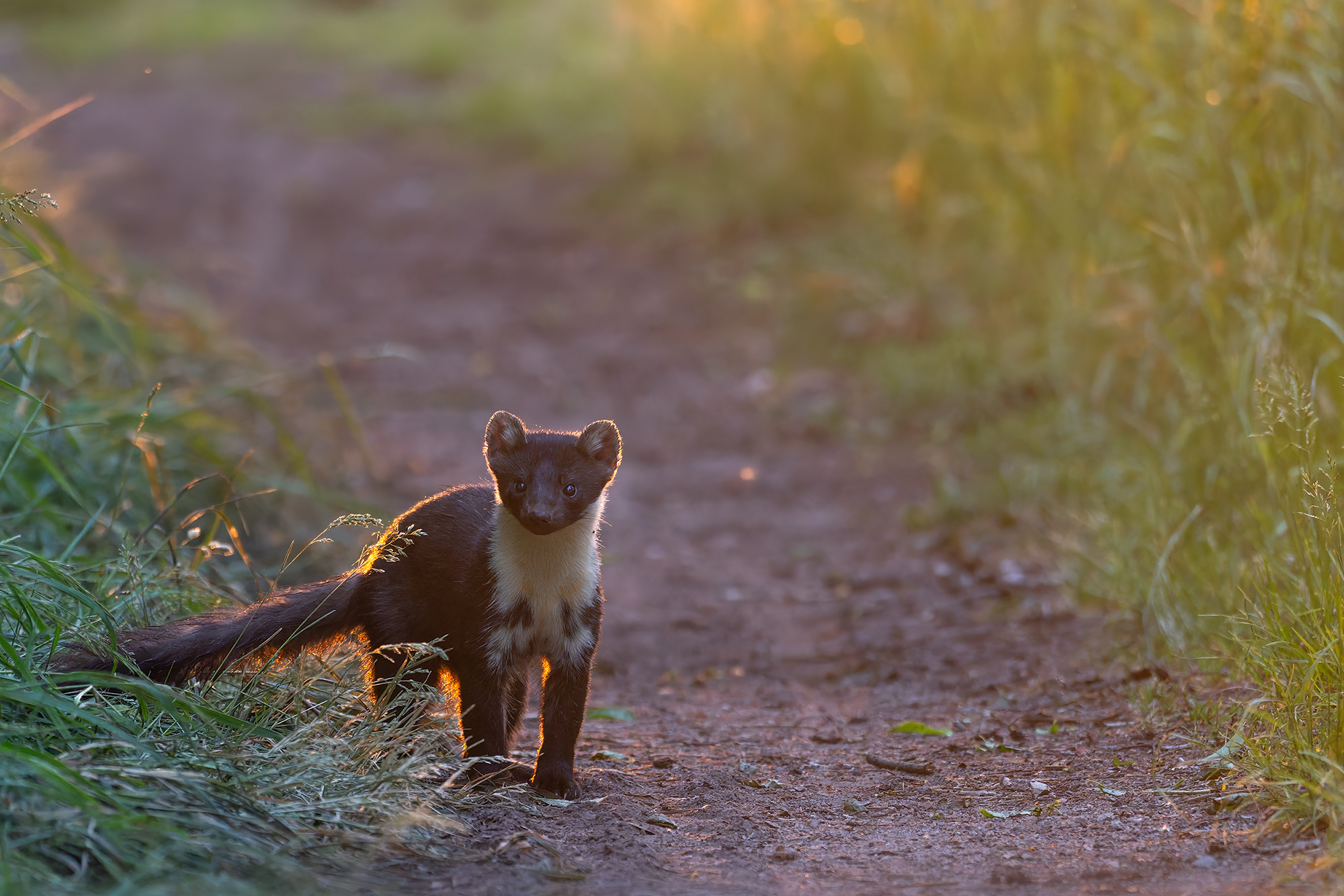 Unverhofft kommt....
