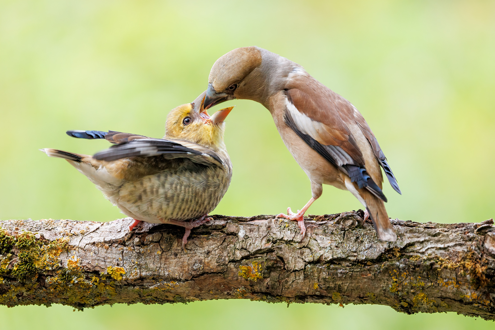 Die Magie des Augenblicks ..