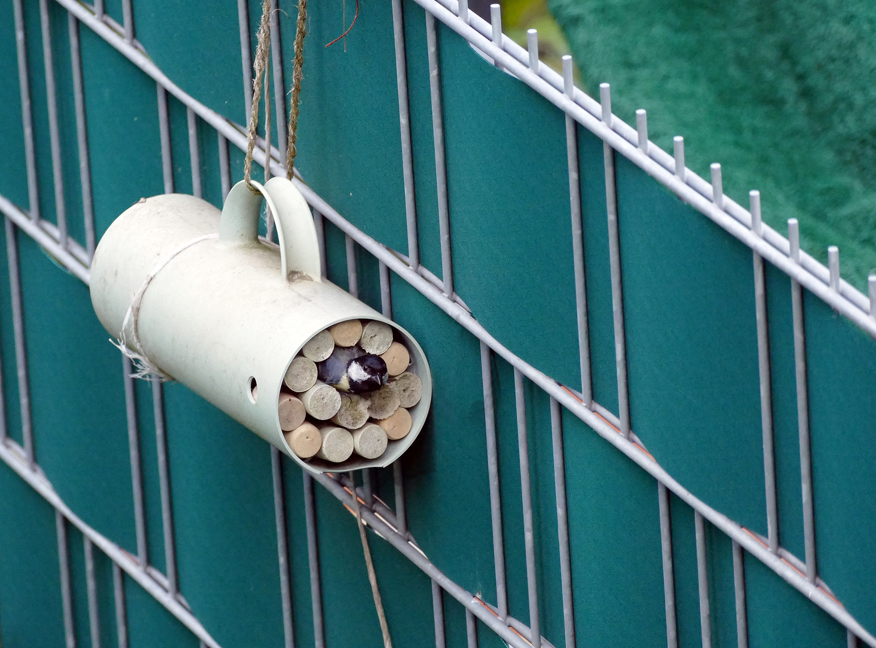 ... Kaffee to go ...