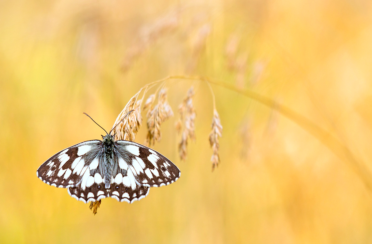 Mal richtig abhängen