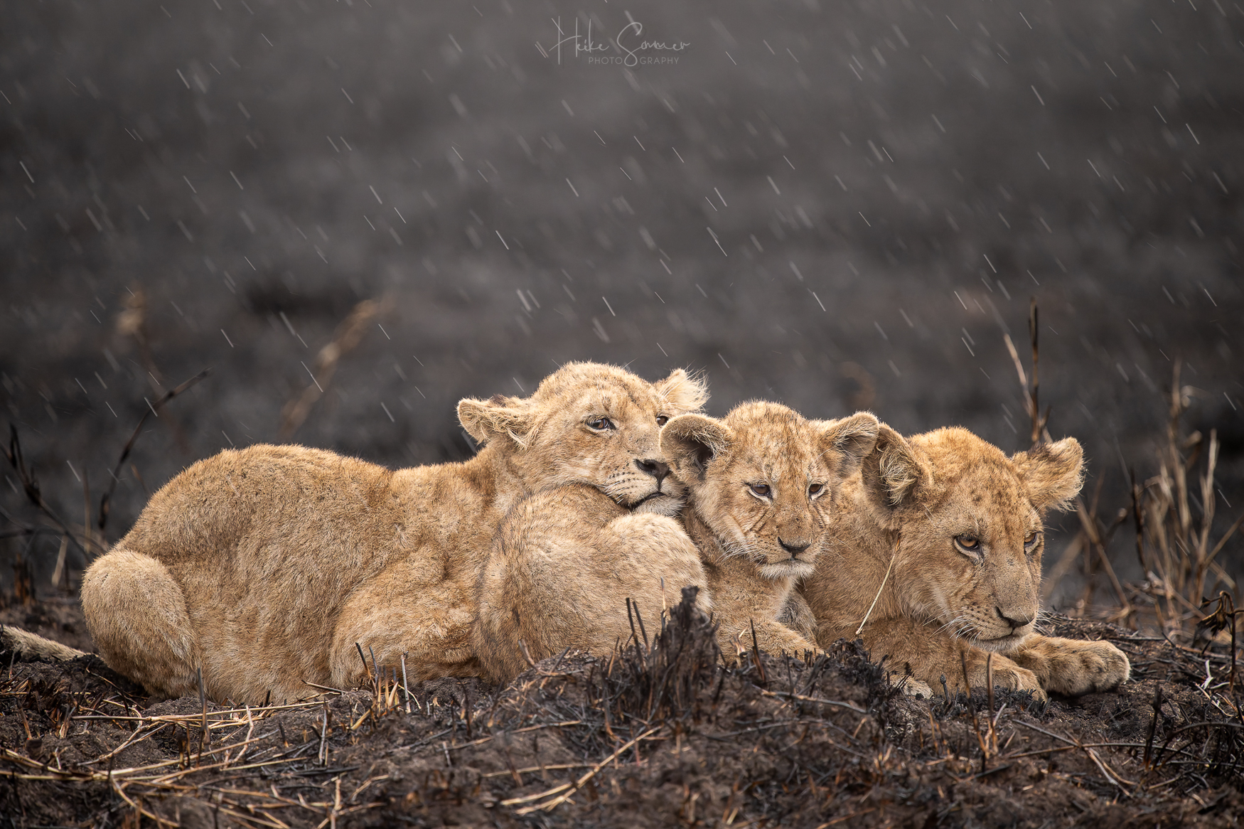 Bäääääh, es ist nass!