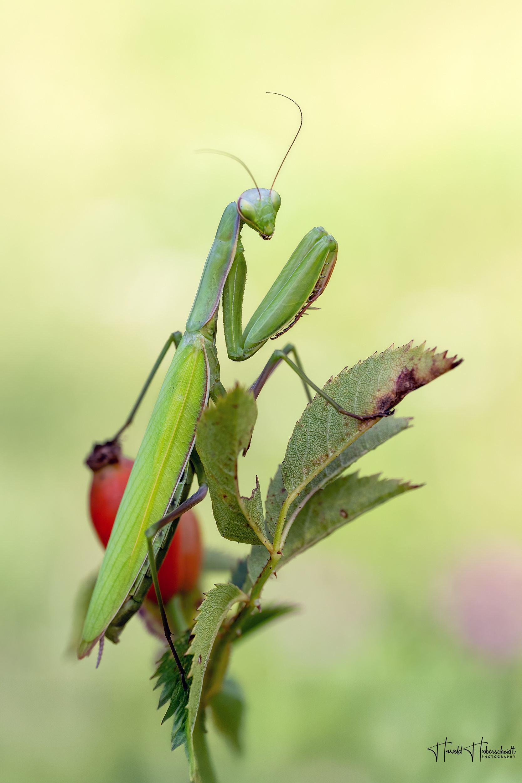 Schulterblick - fühlte sich beobachtet