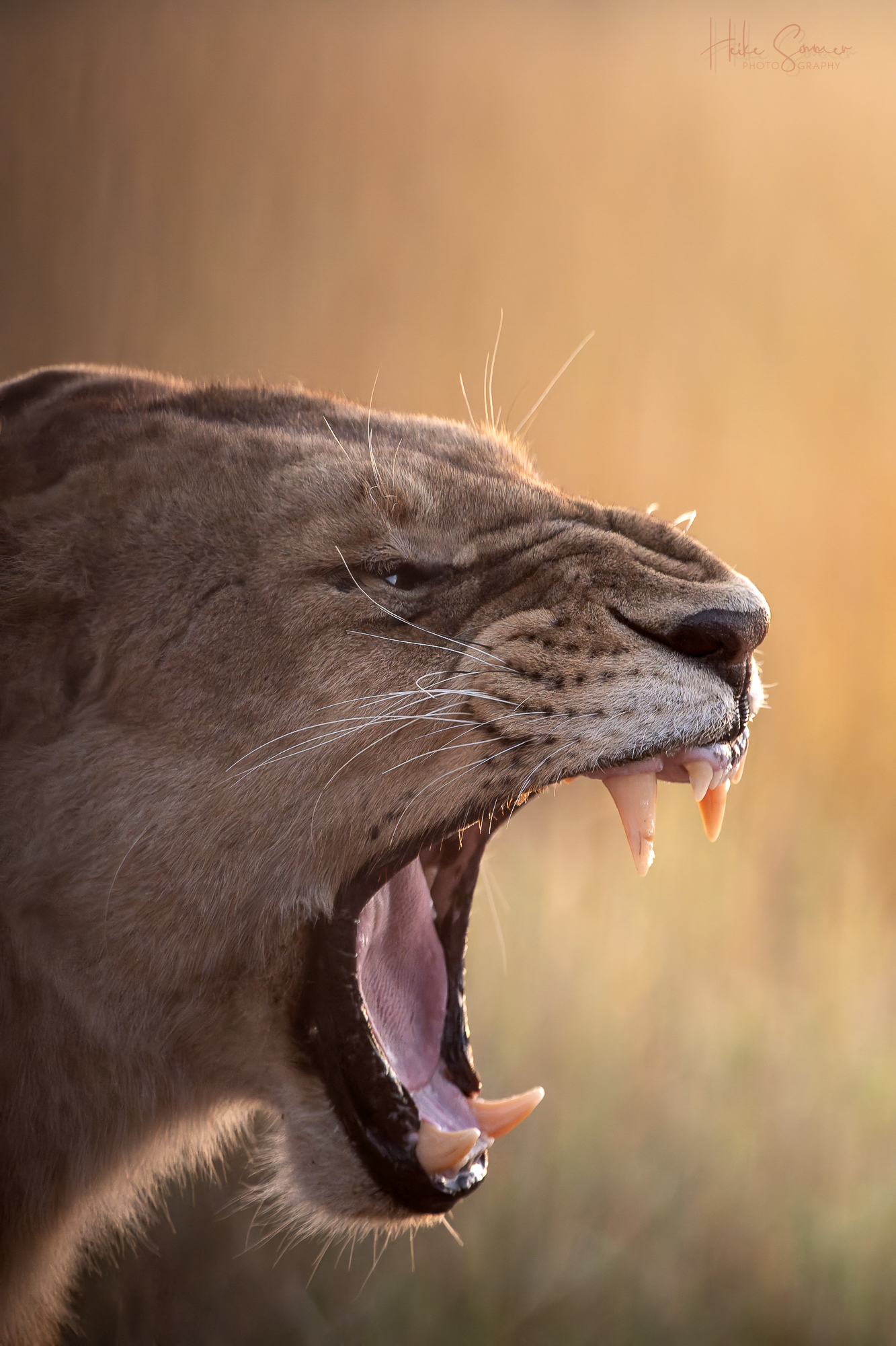 Gechillt ins Wochenende