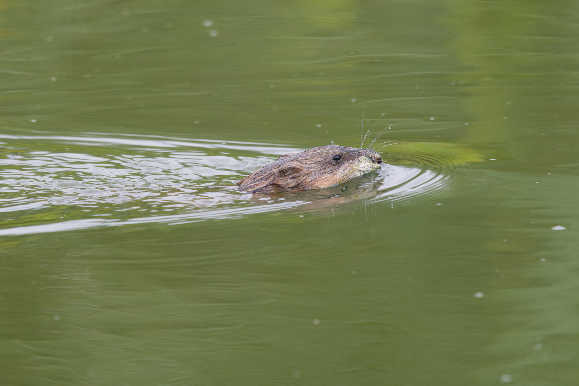 angenehm überrascht