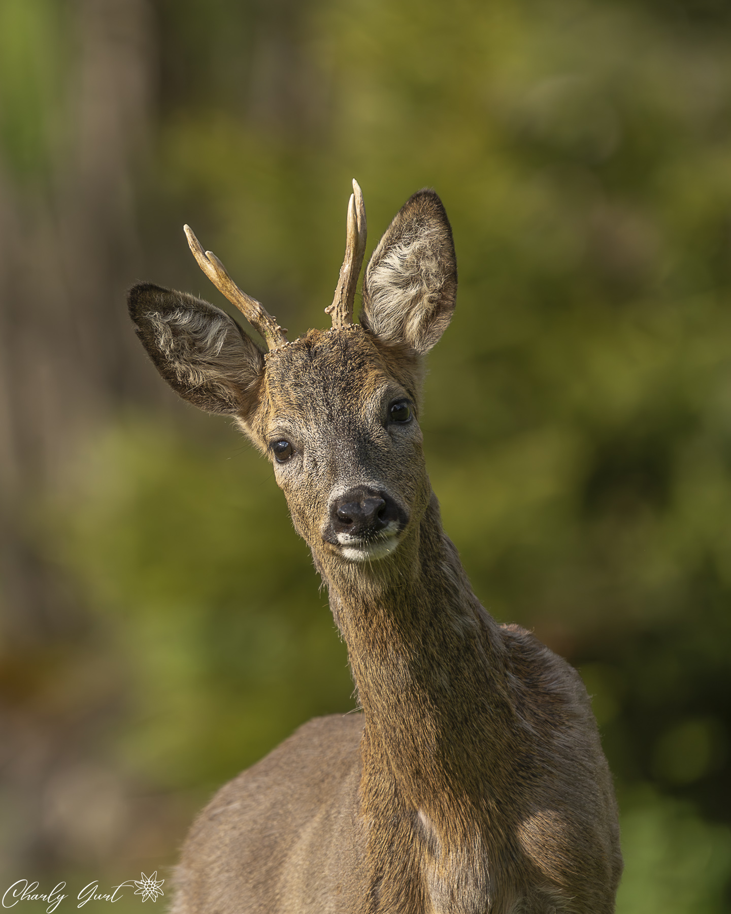 Mit jedem Schritt kam er näher. Teil III
