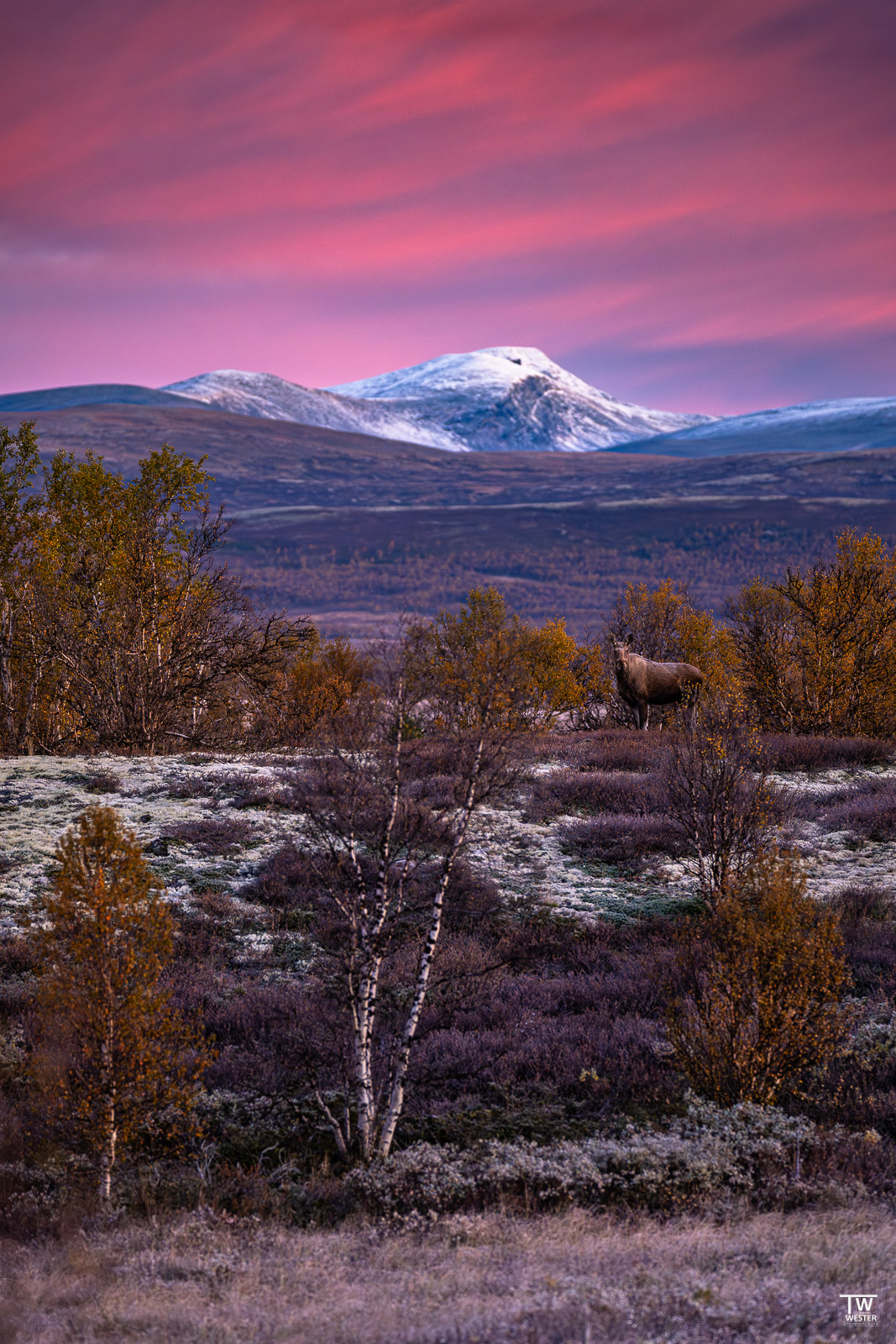 September in Norwegen...