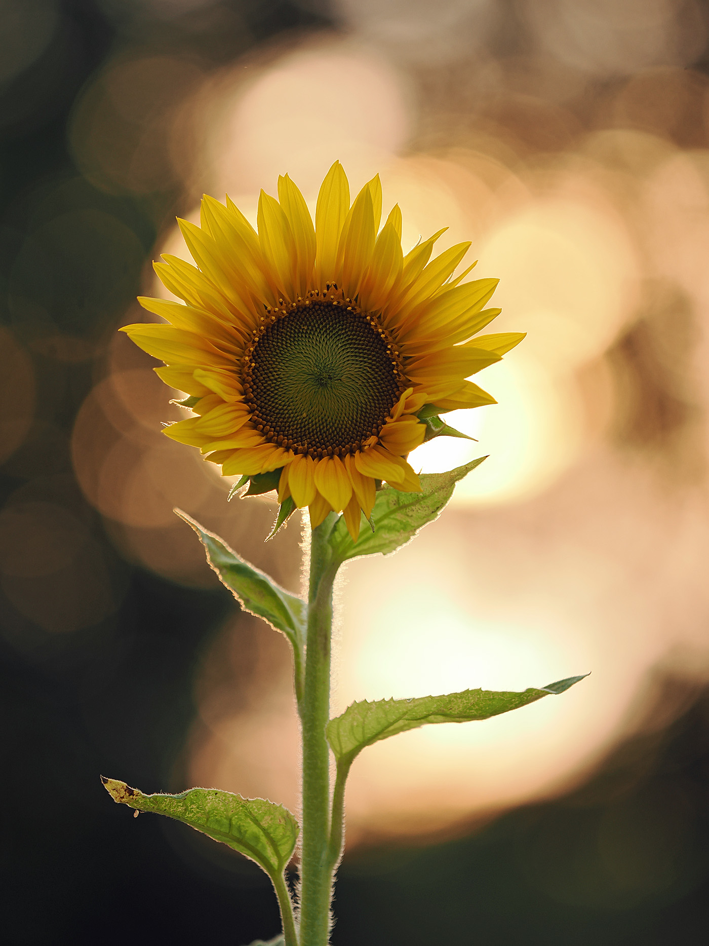 anderer Tag, anderes Licht