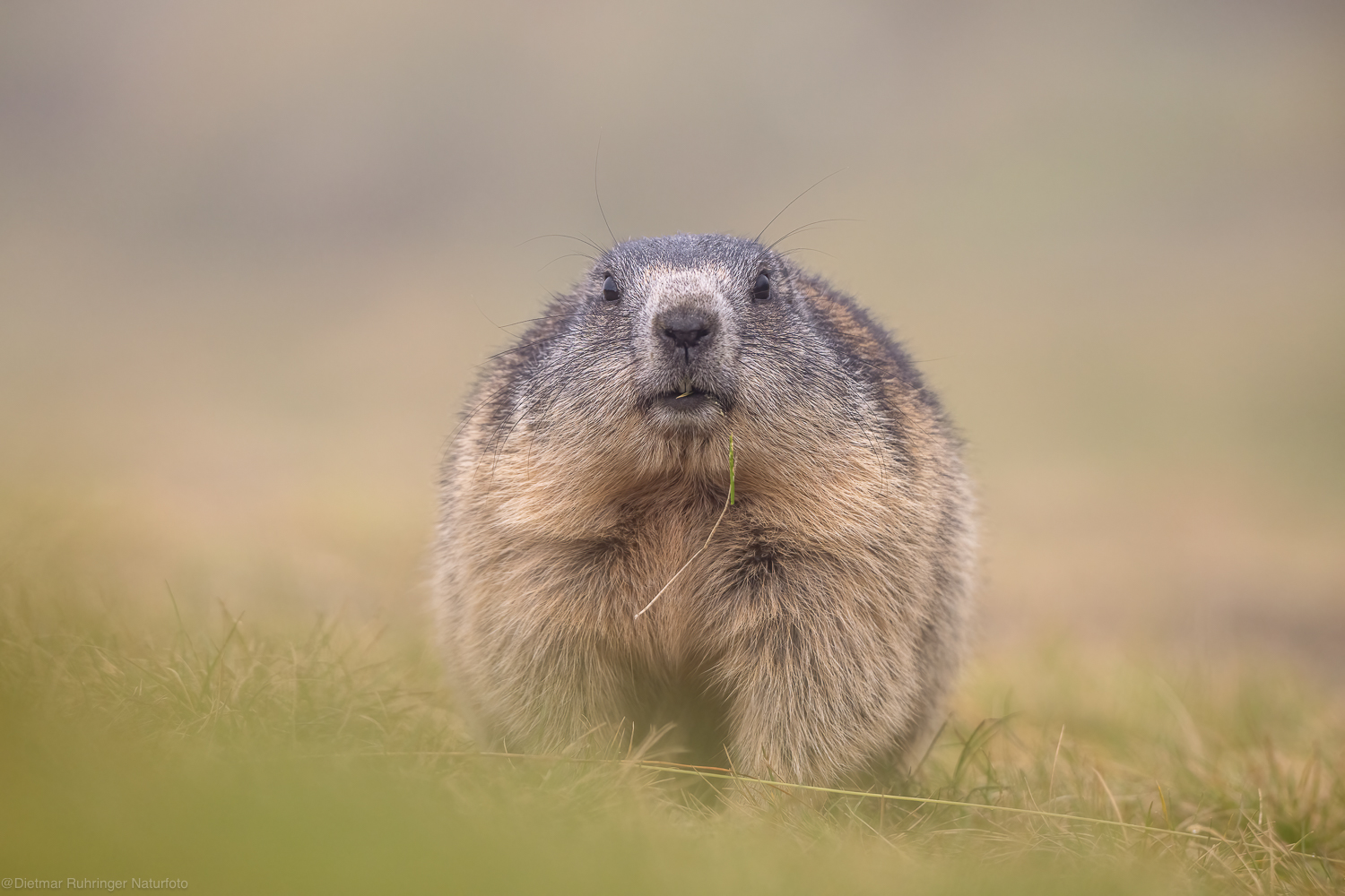Einfach mal neugierig