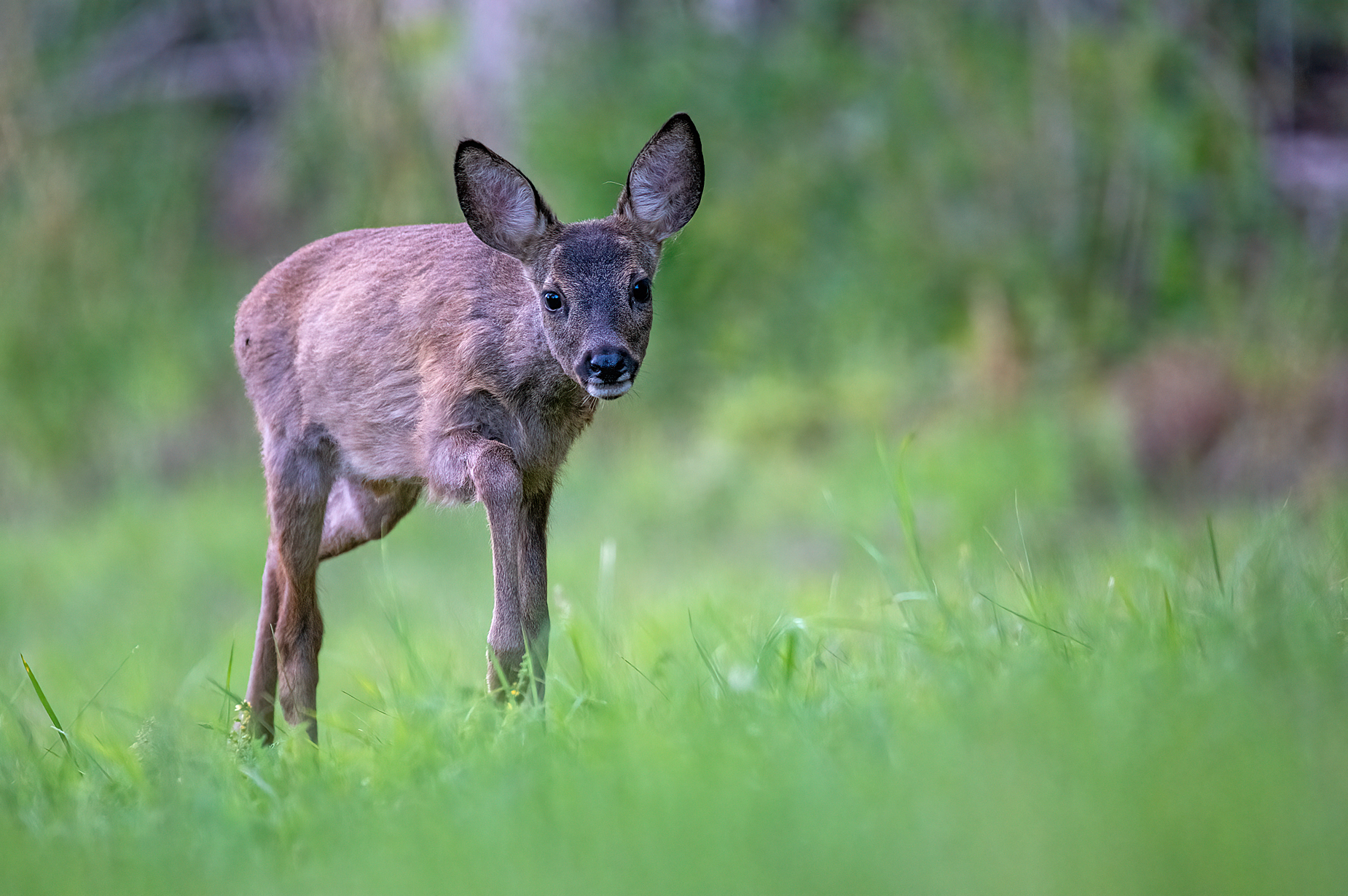 ... kindliche Neugier