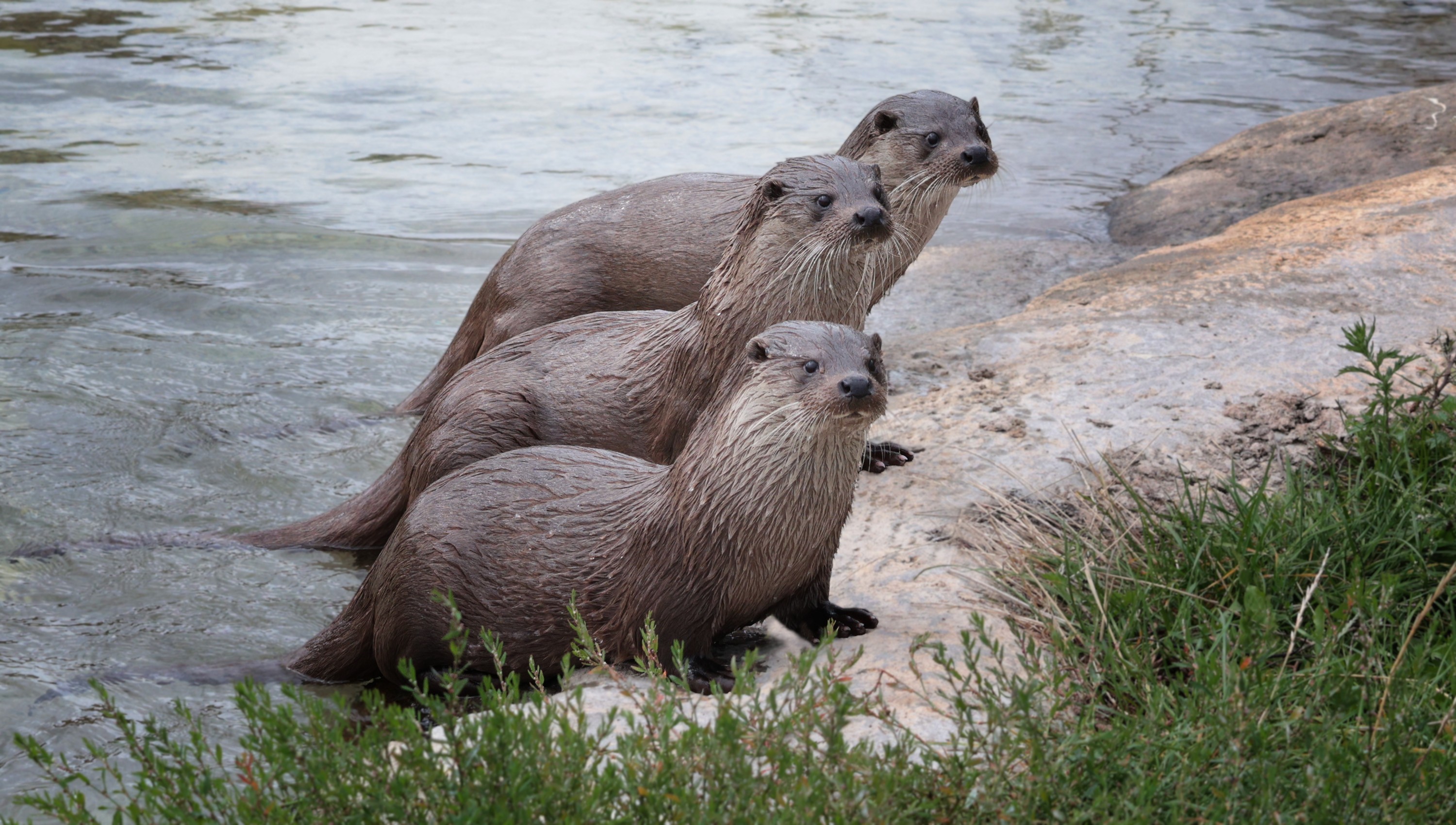 ....die Drei von der Tankstelle...