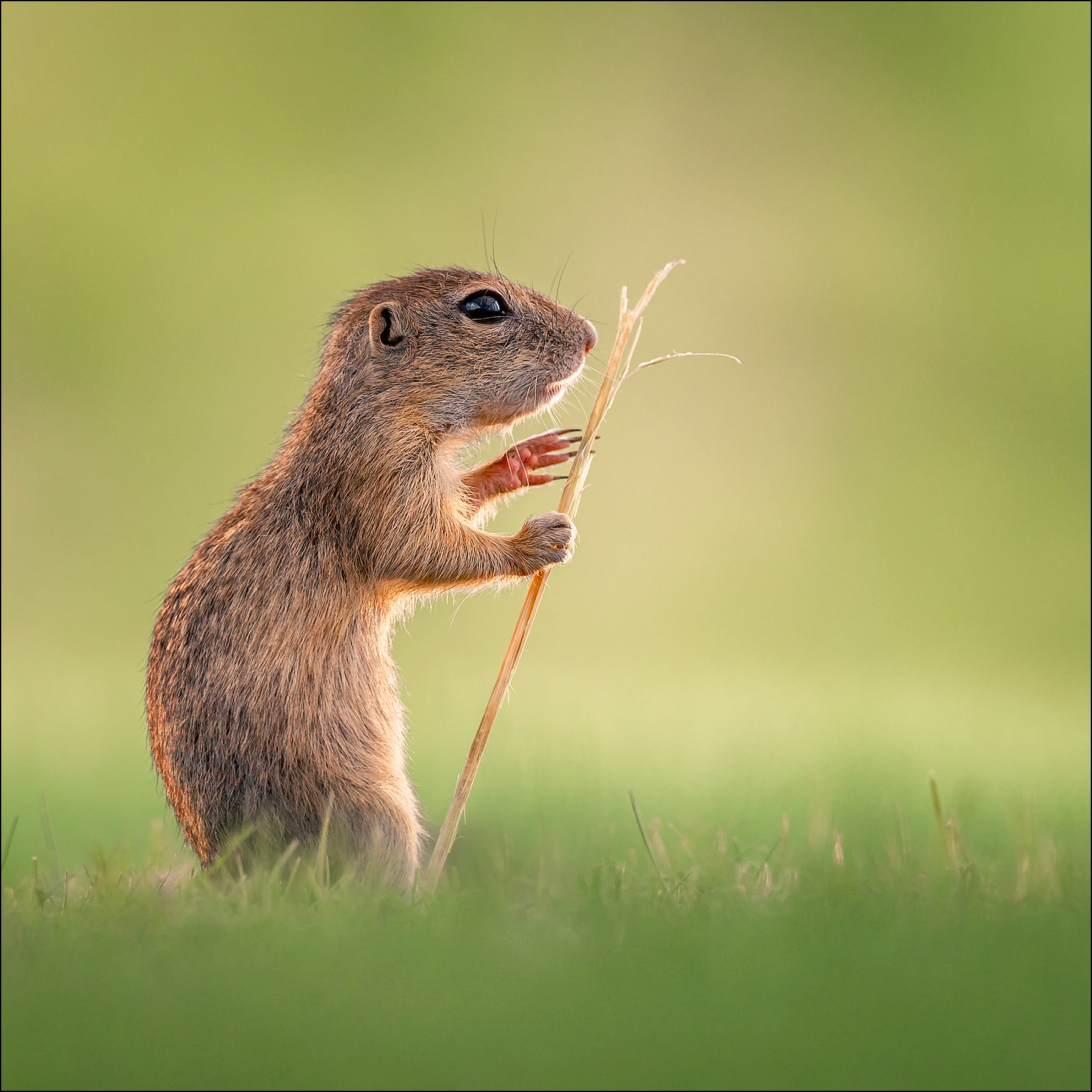 auf der Wanderschaft