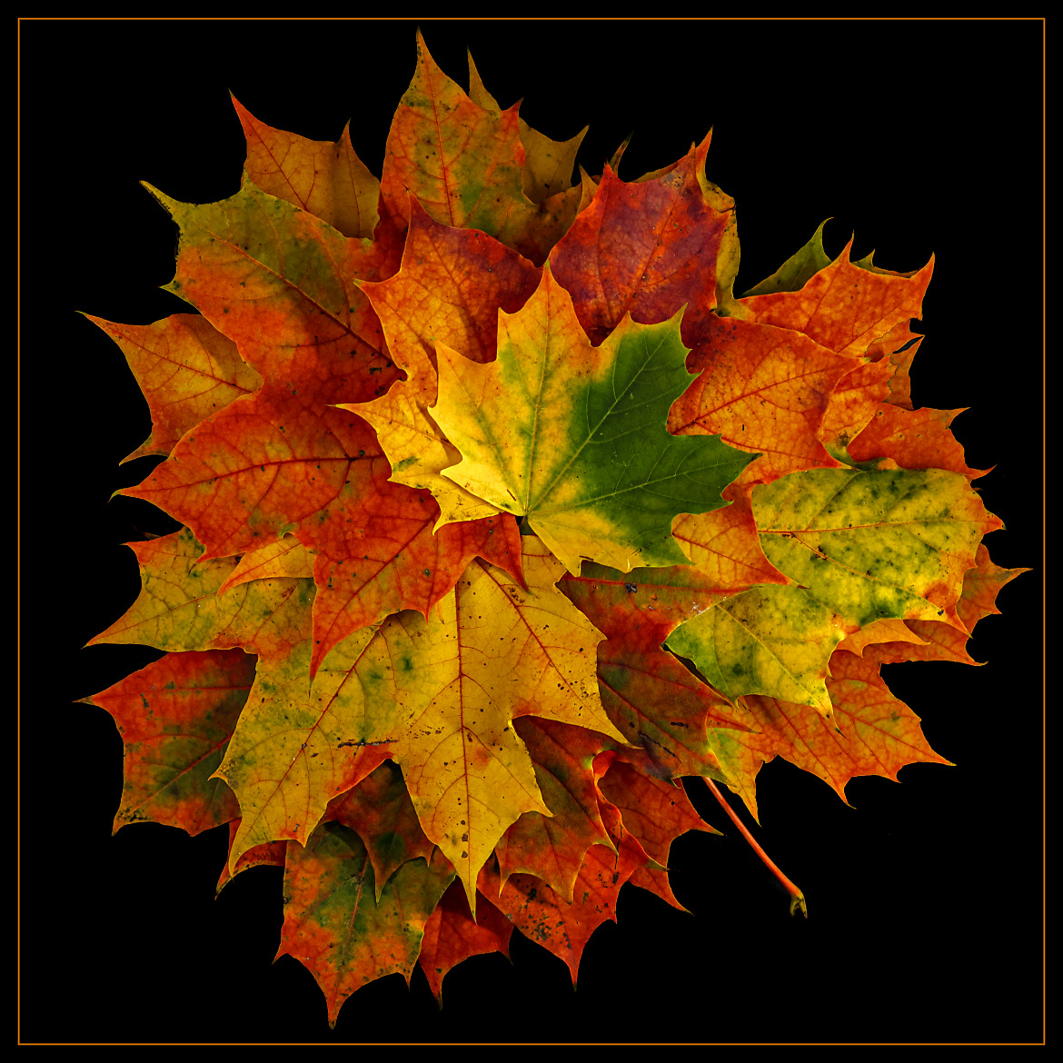 April, April im Herbst