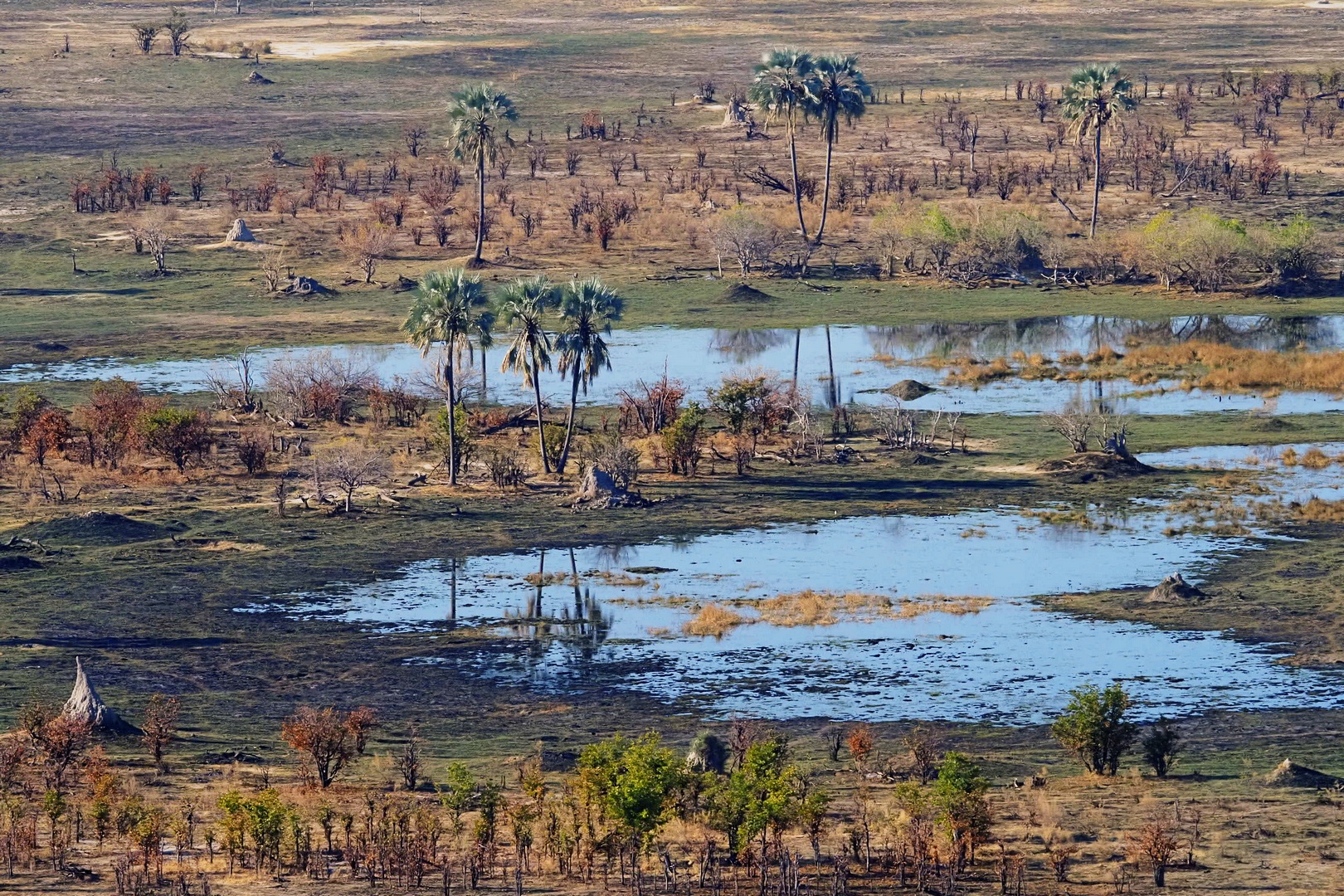 Okavango