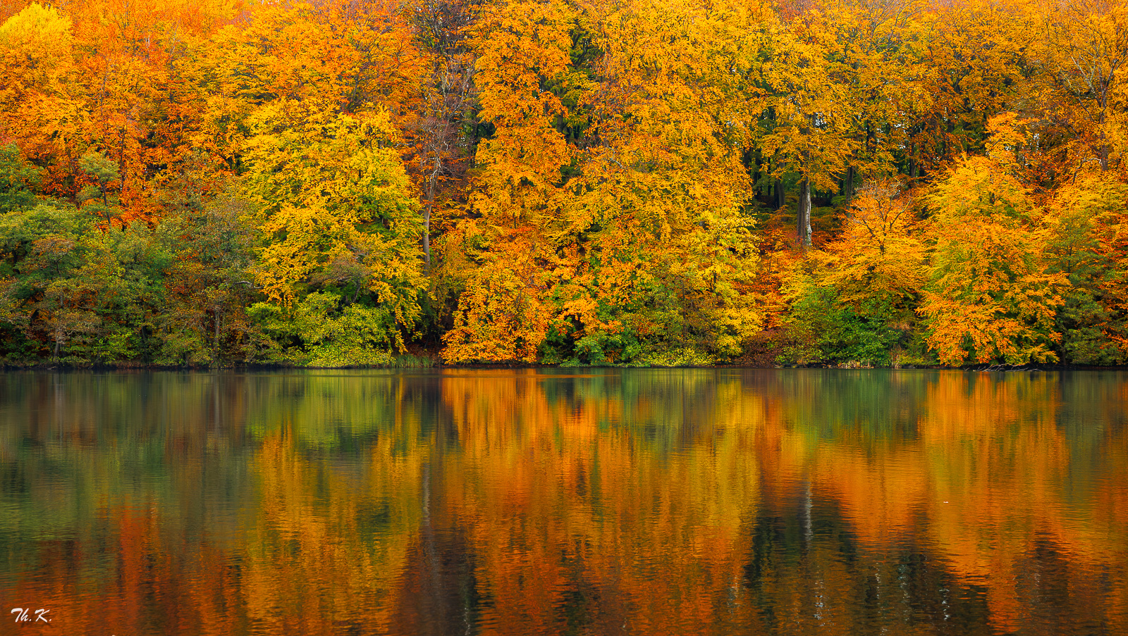 Nochmal Herbst .....