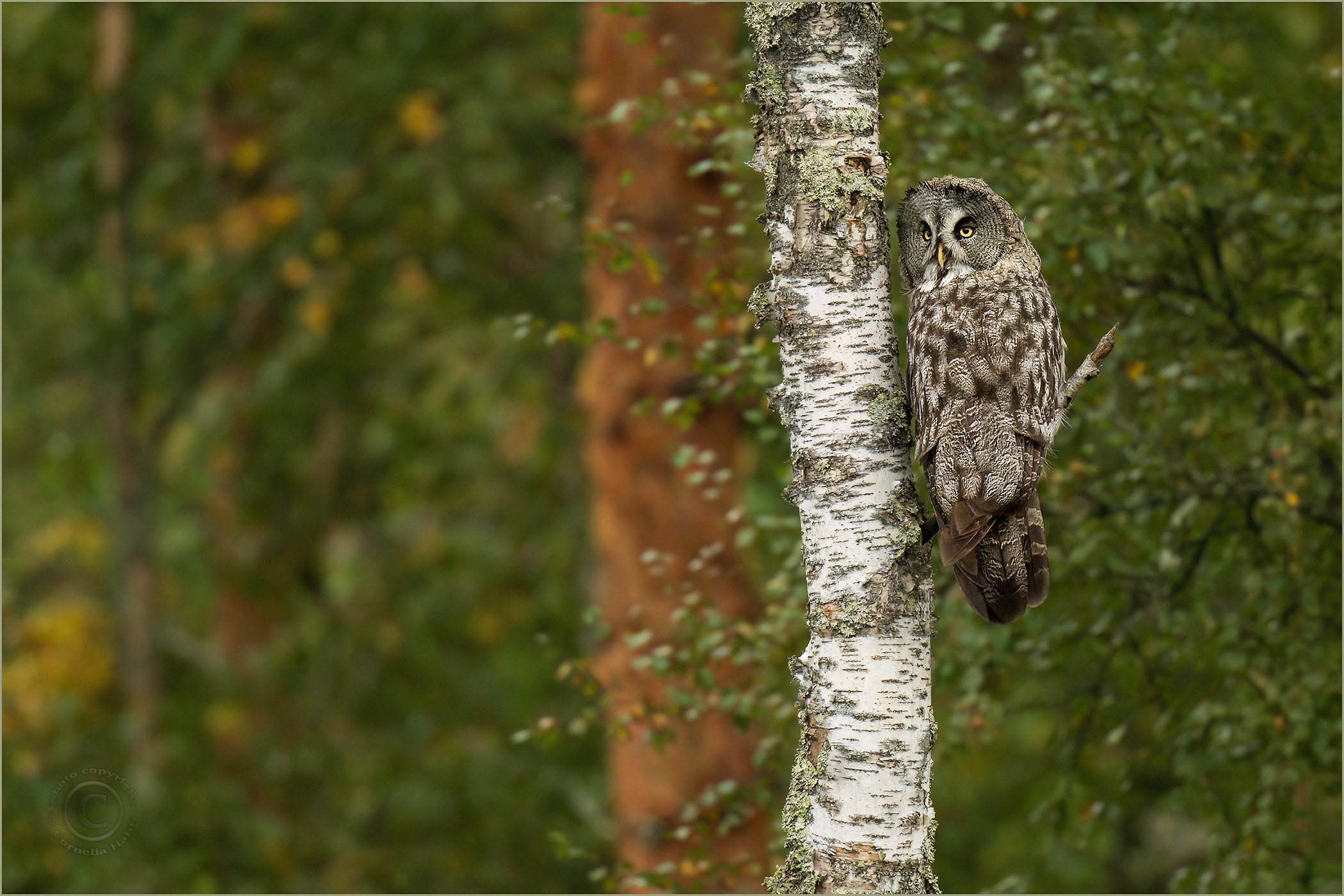 Meine Highlights 2025…