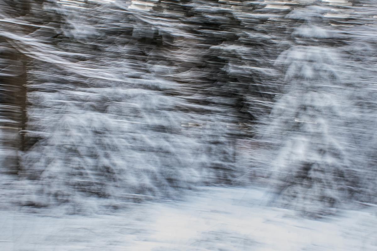 Wie ein Schneesturm