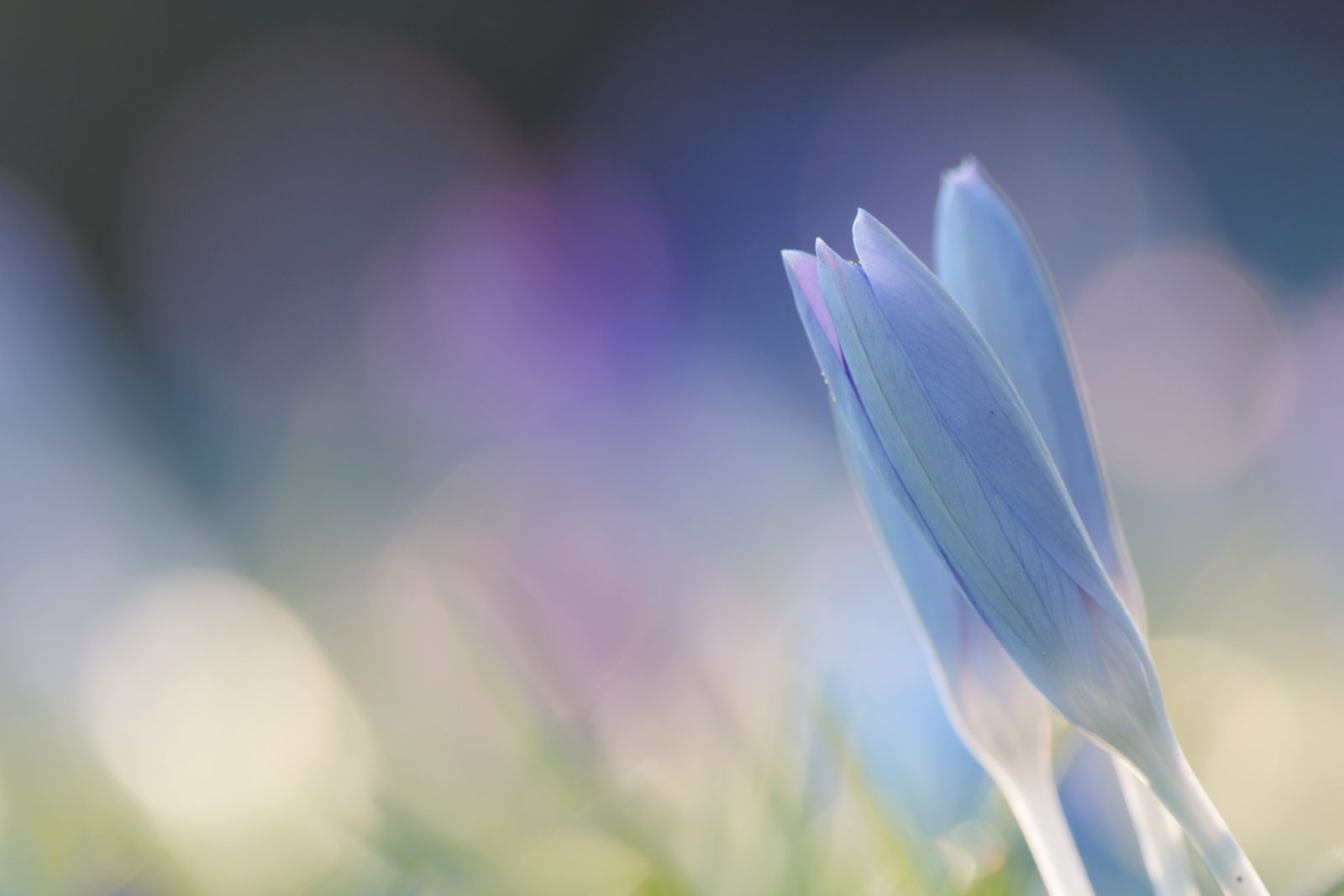 Zarte Frühlingsfarben