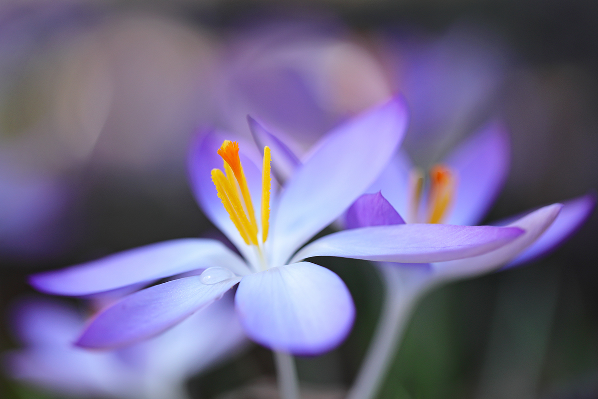 der Frühling ist da!