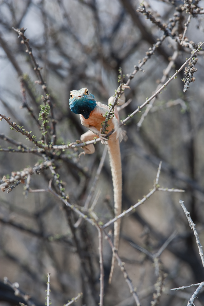 Mal wieder reingucken...