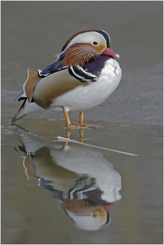 Es ist noch einmal gutgegangen !