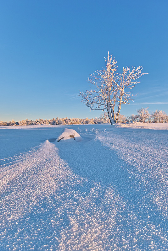 Klassisch blau - weiß