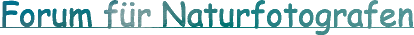 Forum für Naturfotografen - Homepage