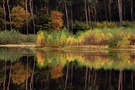 Herbst am Haubachsee