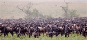 Beeindruckende Zahlen