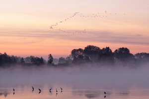 Die Einen bleiben die Anderen gehen