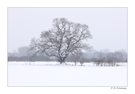 Winterlandschaft
