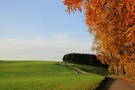 Ein Morgen im Herbst ND