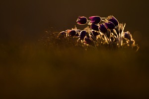 Zusammen ist man weniger allein