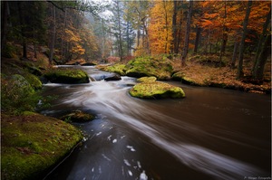 Herbstliche Waldnaab