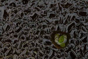 Eingeschlossen im Eis