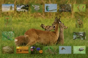 Collage vom 27.9.2007