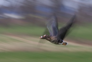 Da hab ich auch eine gewischt bekommen