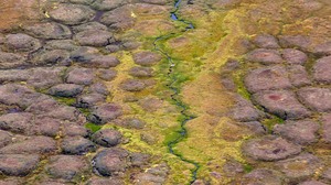 Frostmusterboden am Midterhukenfjellet / Spitzbergen
