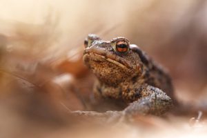 Fröhlich sieht anders aus!