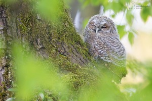 Frisch aus der Höhle geklettert...